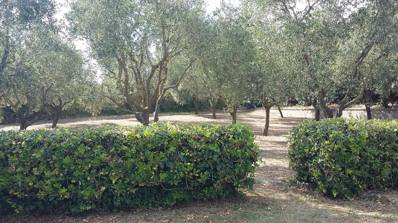 Corinna ماسّا لوبْرينسِ المظهر الخارجي الصورة
